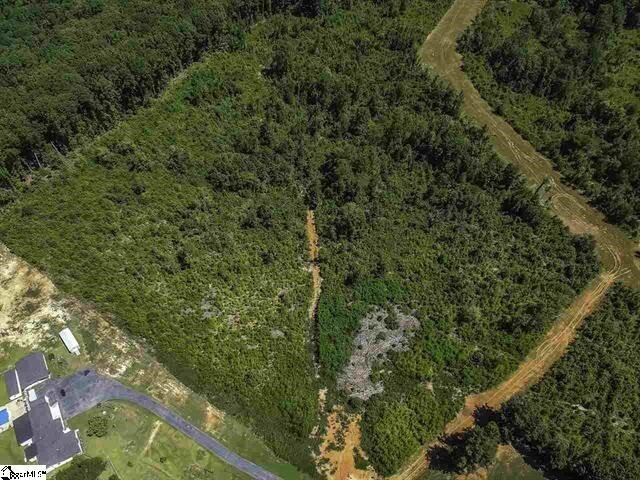 Farm Ranch in Woodruff, South Carolina, United States 5 - 16804048