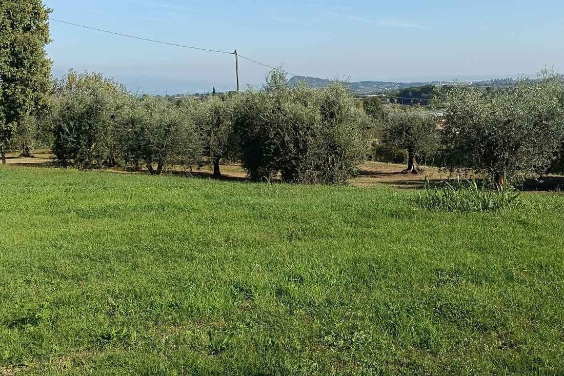 Land in Raffa, Lombardy, Italy 5 - 16805431