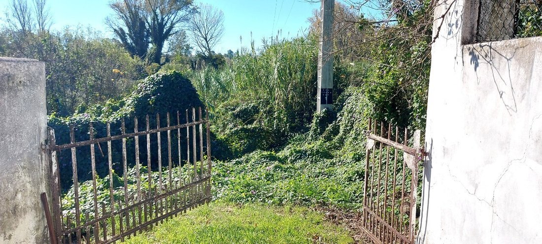 Land in Eiras e Sao Paulo de Frades, Coimbra District, Portugal 1 - 16801721