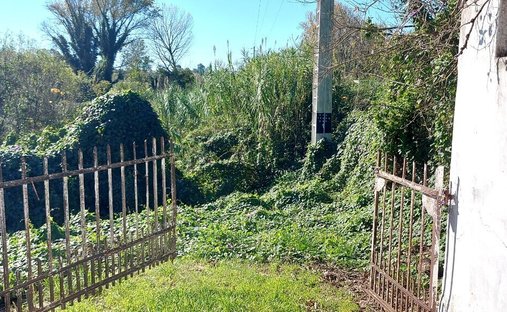 Terreno a Eiras e Sao Paulo de Frades, Distretto di Coimbra, Portogallo 1