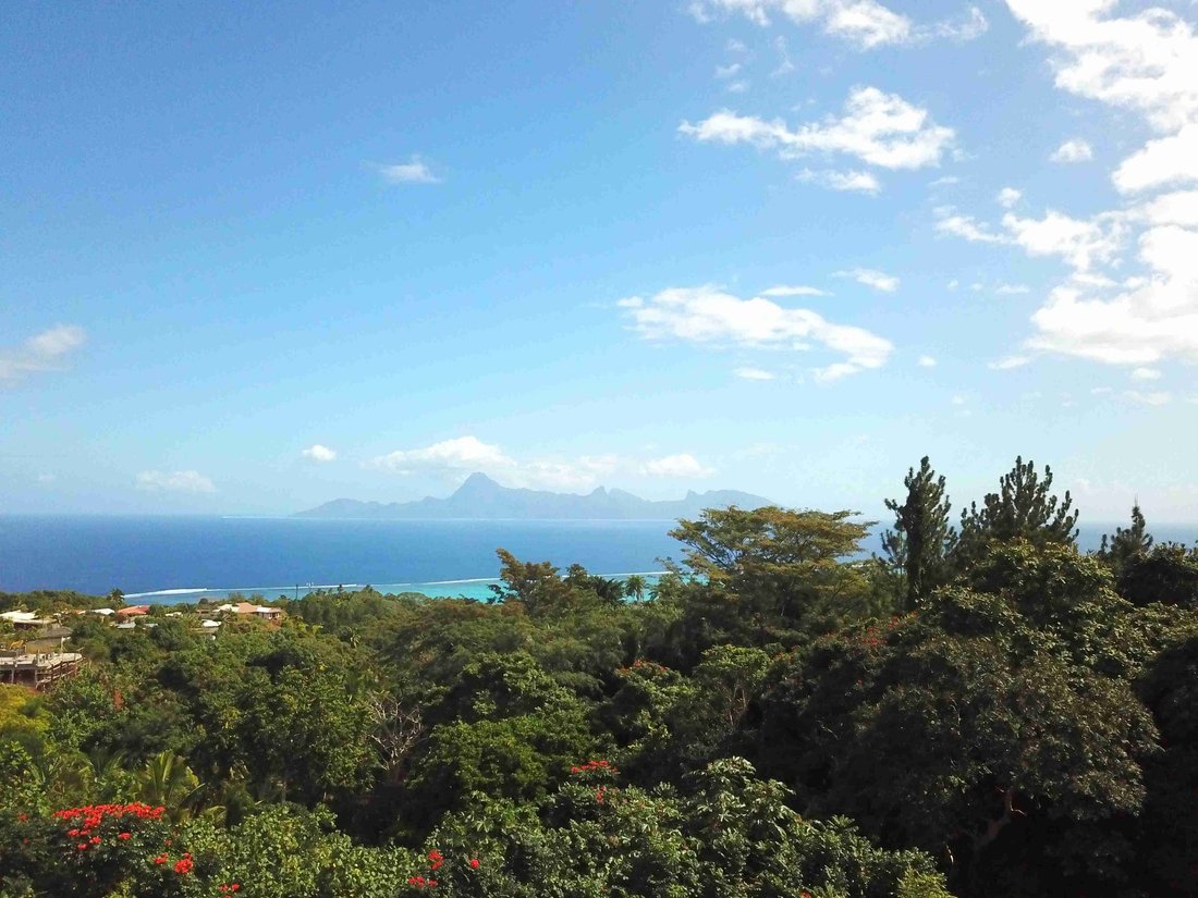 Apartment in Puna'auia, Windward Islands, French Polynesia 5 - 16802815
