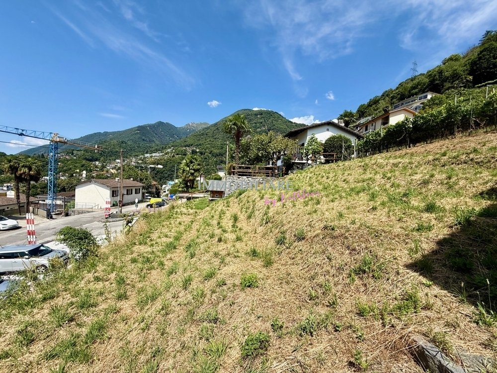 Land in Gordola, Ticino, Switzerland 4 - 16798620