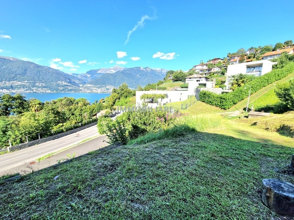 Land in Gambarogno, Ticino, Switzerland 4 - 16798605
