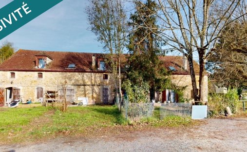 Castle for Sale in Le Bugue, Nouvelle-Aquitaine, France