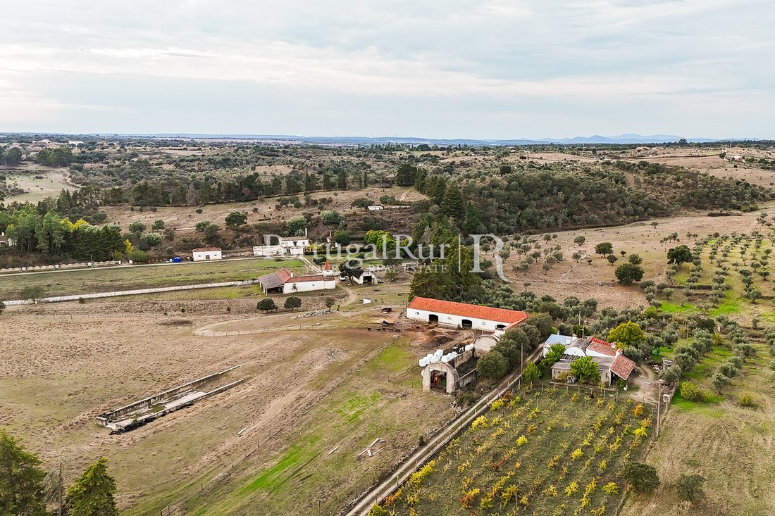 Estate in Espirito Santo, Nossa Senhora da Graca e Sao Simao, Portalegre District, Portugal 5 - 16796771