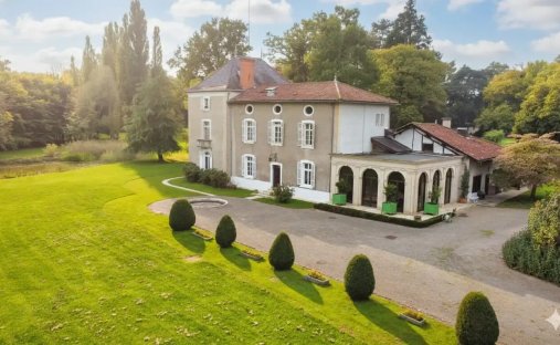 Castle for Sale in Bourg-en-Bresse, Auvergne-Rhône-Alpes, France