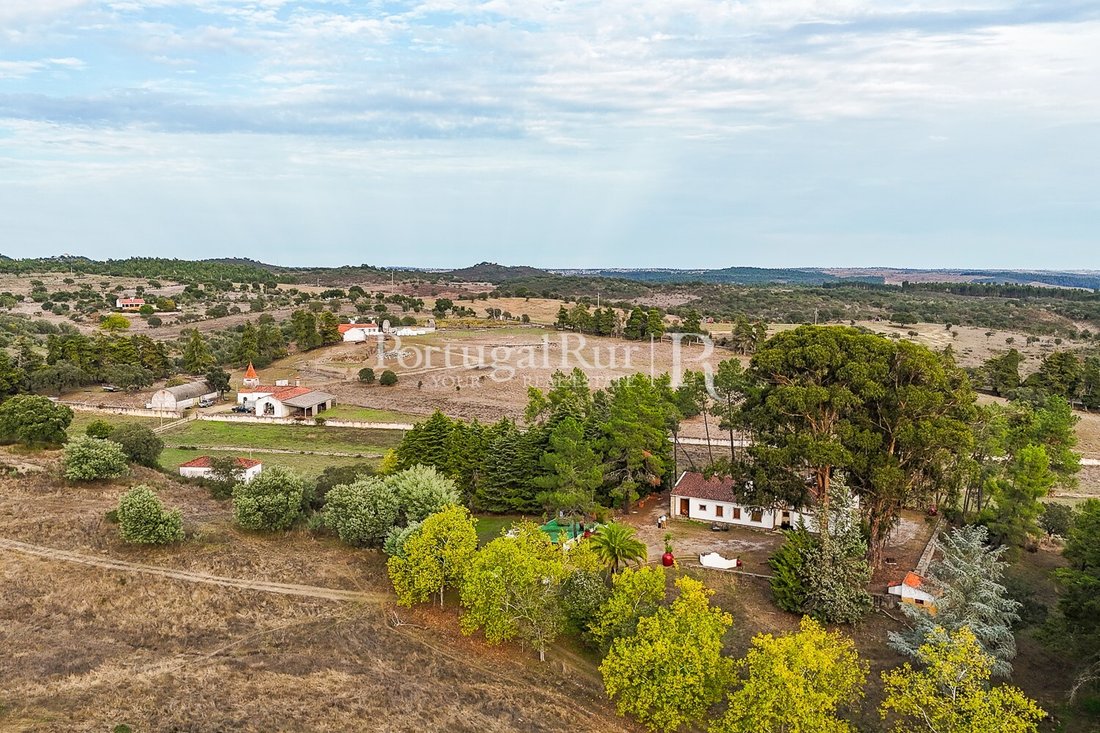 Estate in Espirito Santo, Nossa Senhora da Graca e Sao Simao, Portalegre District, Portugal 1 - 16796771