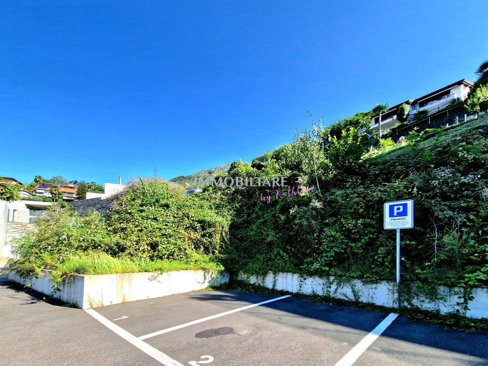 Land in Gambarogno, Ticino, Switzerland 3 - 16798605