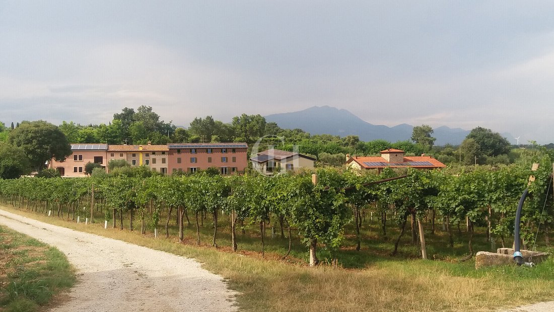 House in Lazise, Veneto, Italy 4 - 16803547