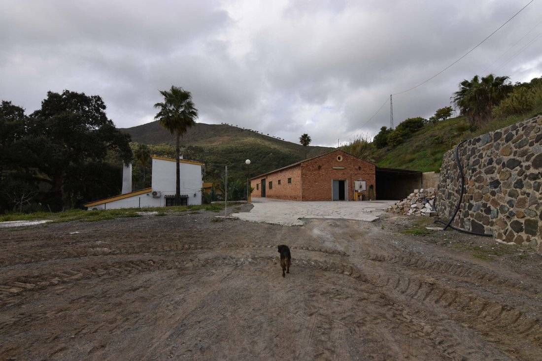 Finca in Mijas, Andalusia, Spain 2 - 16805144