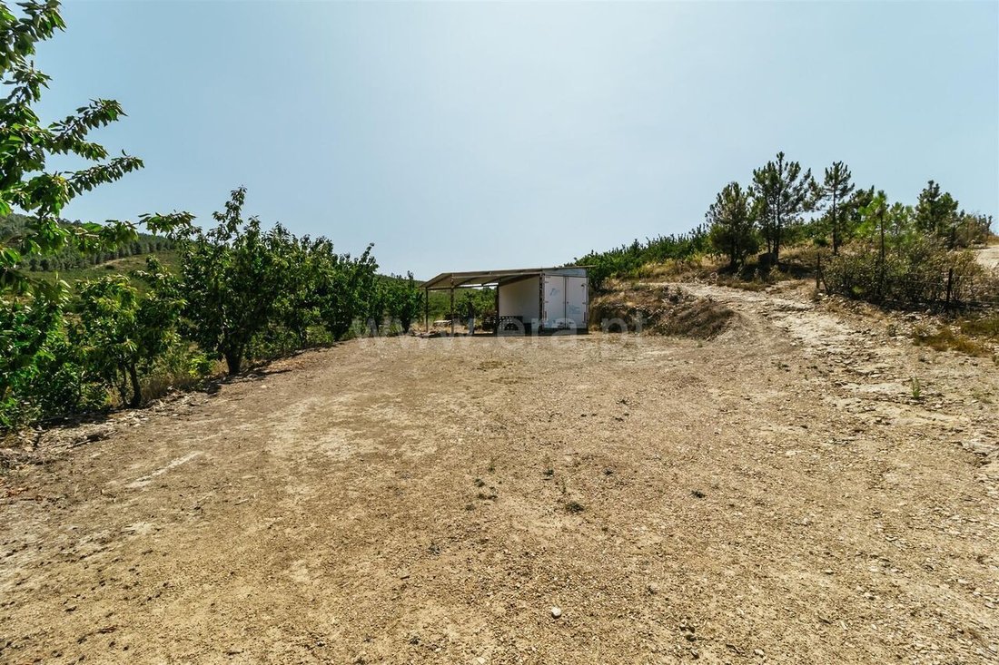 Farm Ranch in Castelejo, Castelo Branco District, Portugal 3 - 15054795