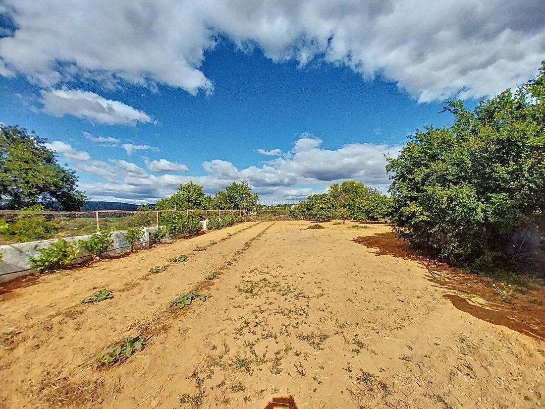 Farm Ranch in Boliqueime, Algarve, Portugal 2 - 16801622