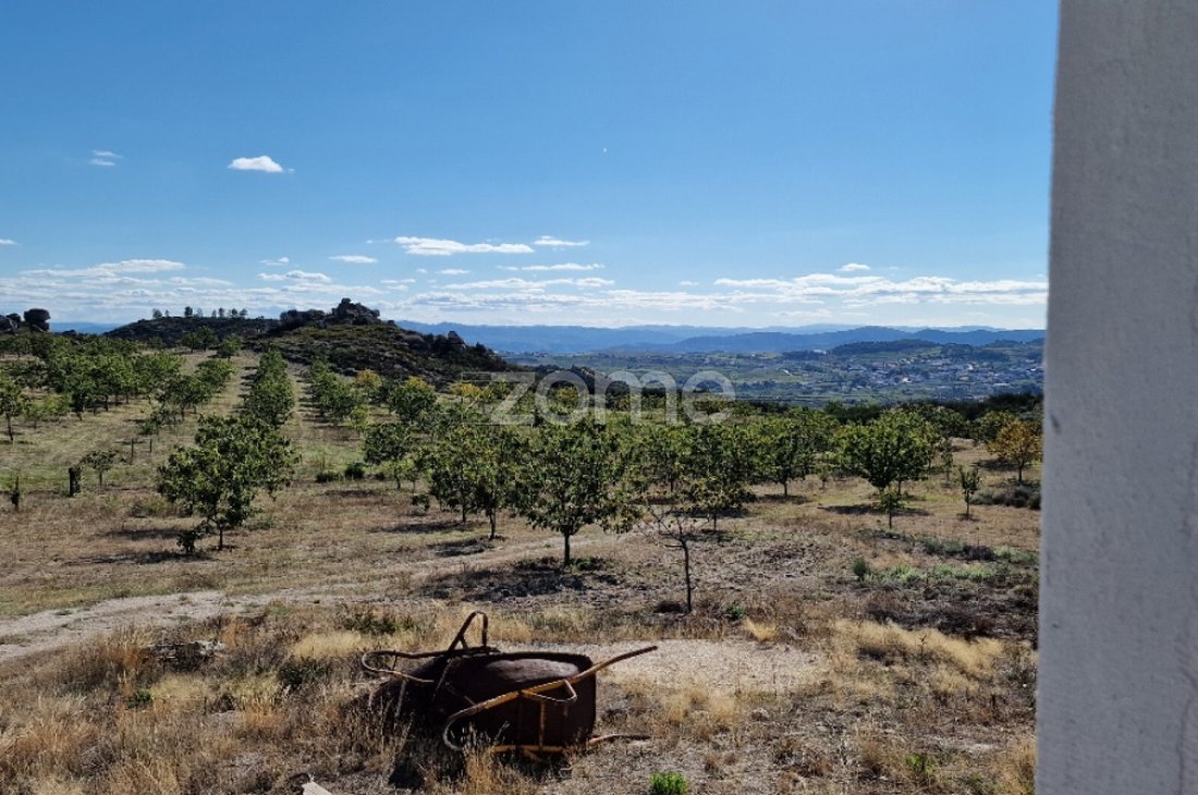 Land in Alijó, Vila Real District, Portugal 4 - 16801133