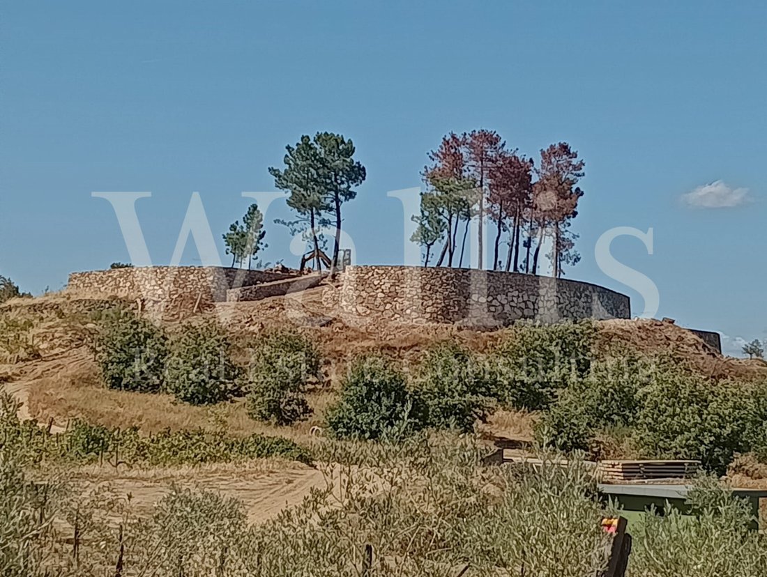 Finca in Almacave, Viseu District, Portugal 5 - 16804203