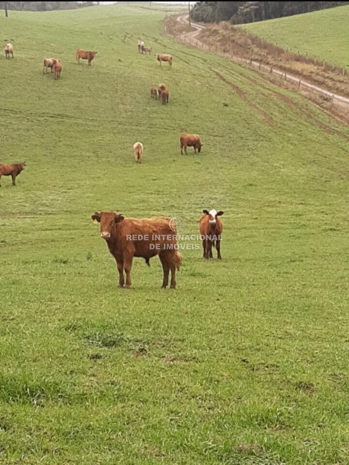 Farm Ranch in Água Doce, State of Bahia, Brazil 1 - 16801895
