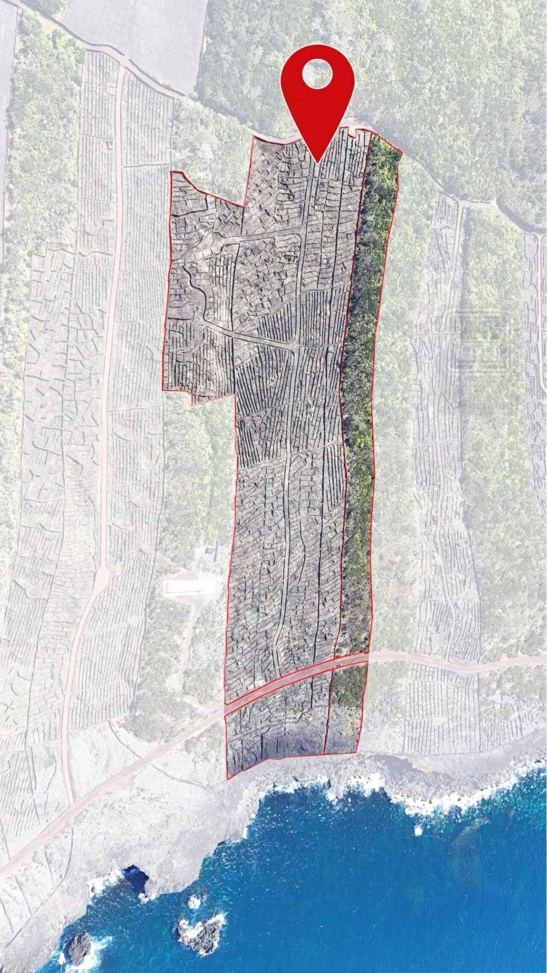 Terreno en Candelária, Azores, Portugal 4 - 14291622