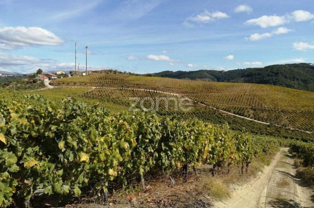 Finca in Lobrigos (Sao Miguel e Sao Joao Baptista) e Sanhoane, Vila Real District, Portugal 3 - 16801182