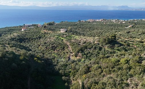 Terrain à Avia, Peloponnese, Western Greece and the Ionian, Grèce 1