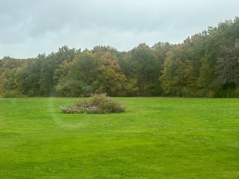 House in Cheverny, Centre-Val de Loire, France 1 - 16798475