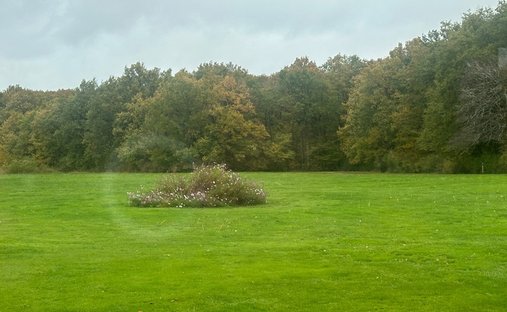 House in Cheverny, Centre-Val de Loire, France 1