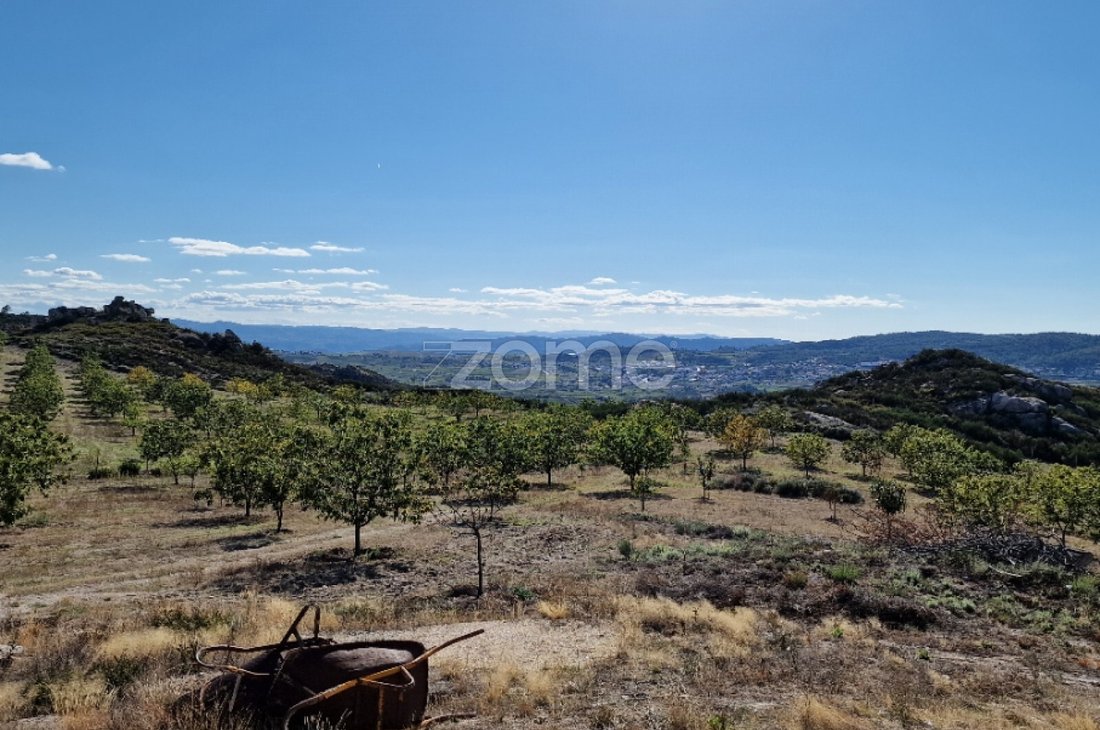 Land in Alijó, Vila Real District, Portugal 5 - 16801133