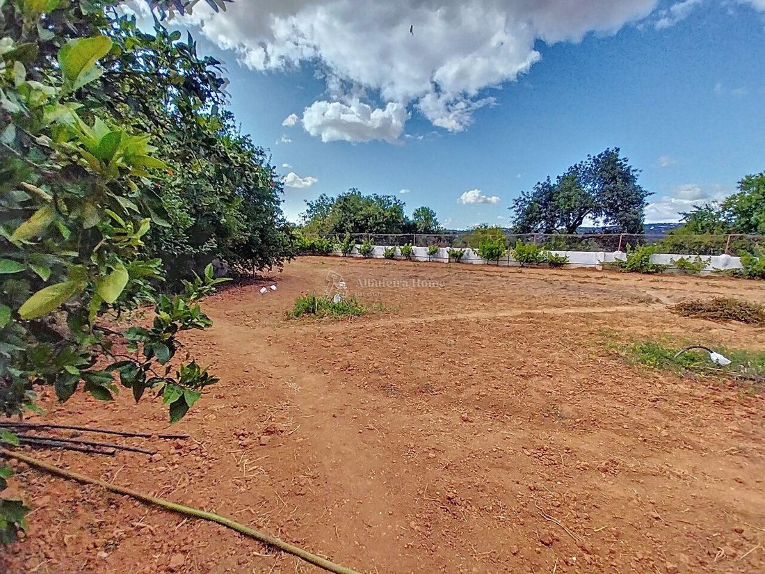 Farm Ranch in Boliqueime, Algarve, Portugal 3 - 16801622
