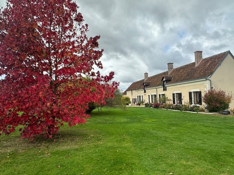 House in Cheverny, Centre-Val de Loire, France 4 - 16798475