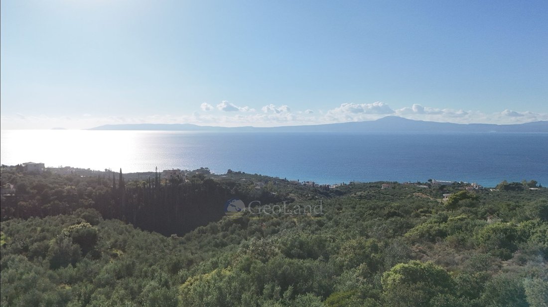 Land in Avia, Peloponnese, Western Greece and the Ionian, Greece 4 - 16798557