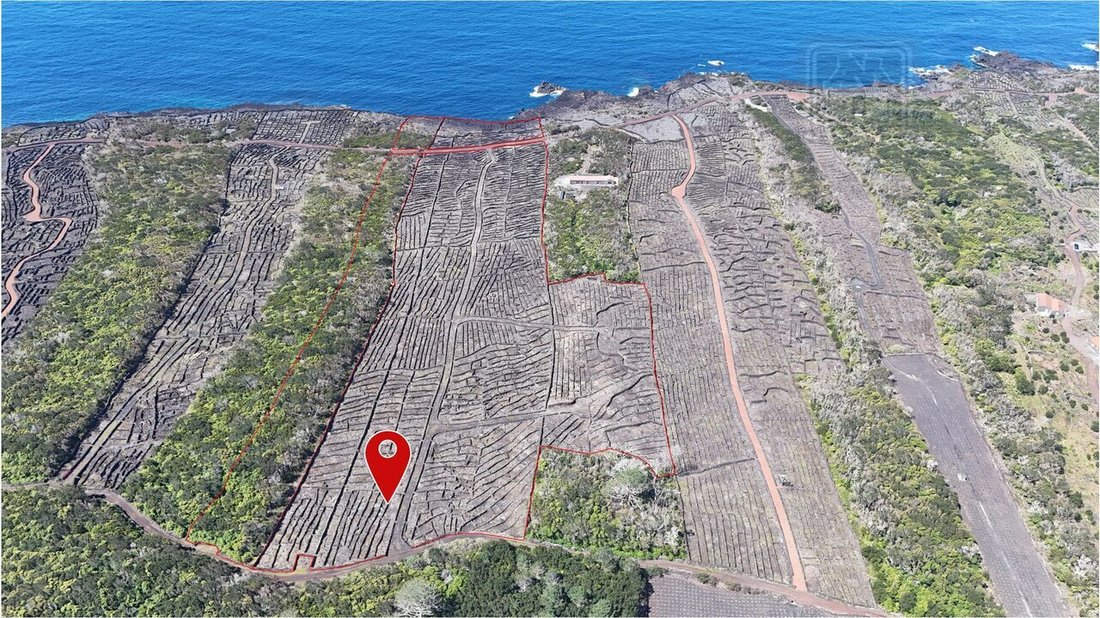 Terreno en Candelária, Azores, Portugal 1 - 14291622