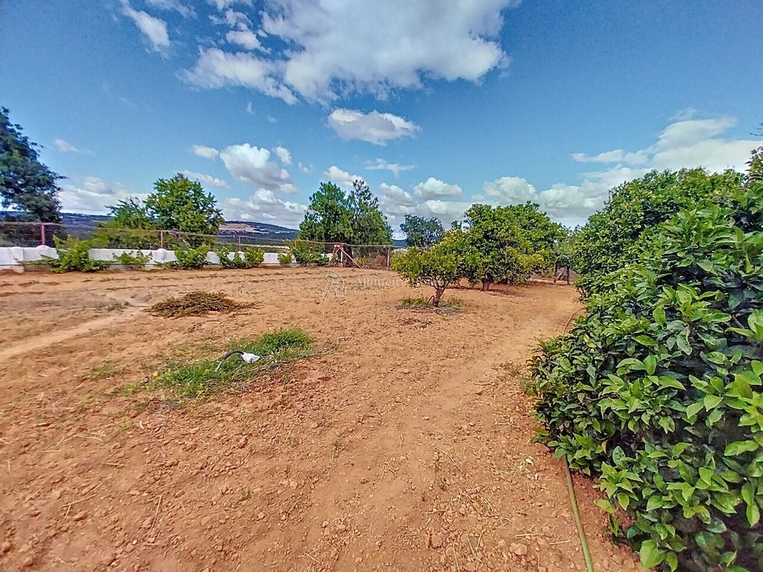 Farm Ranch in Boliqueime, Algarve, Portugal 4 - 16801622