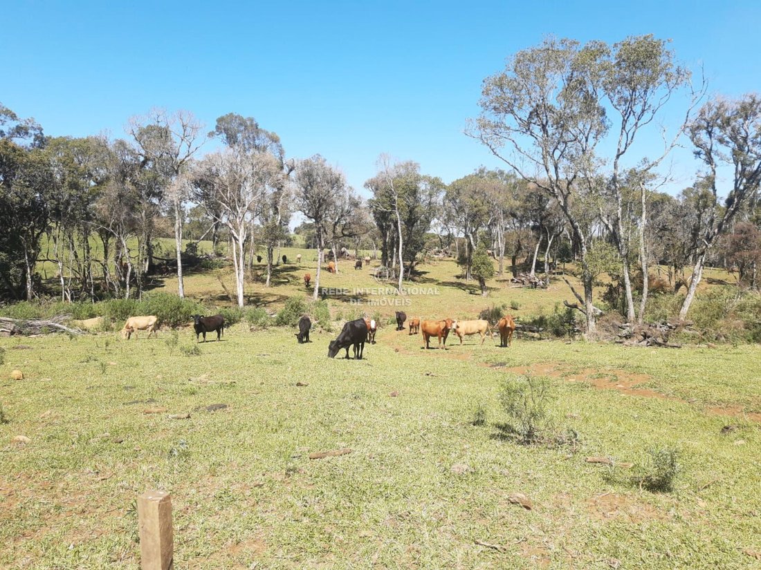 Farm Ranch in Água Doce, State of Bahia, Brazil 2 - 16801895