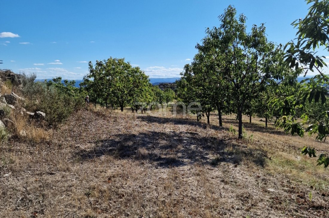 Land in Alijó, Vila Real District, Portugal 1 - 16801133
