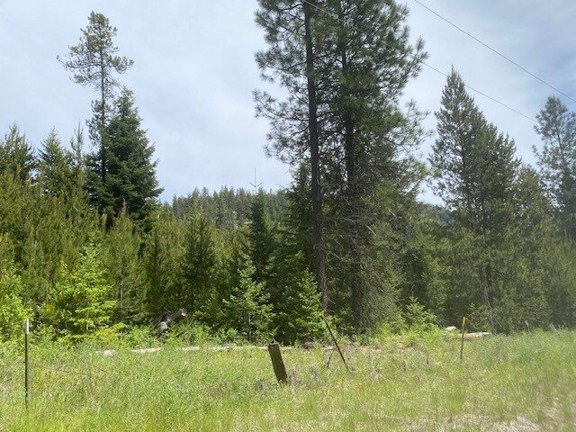 Land in Priest River, Idaho, United States 2 - 16799317