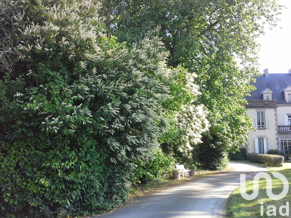 House in Saint-Denis-la-Chevasse, Pays de la Loire, France 4 - 16800317