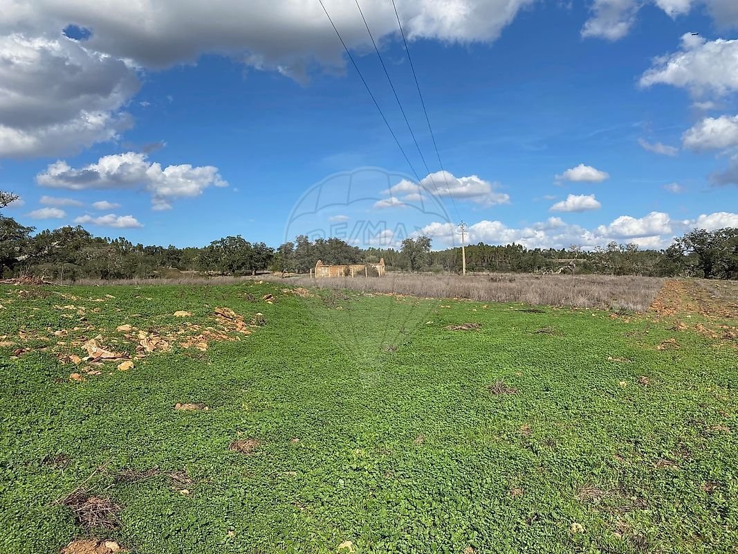 Farm Ranch in Reliquias, Beja District, Portugal 5 - 16807249