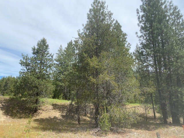 Land in Priest River, Idaho, United States 4 - 16799317
