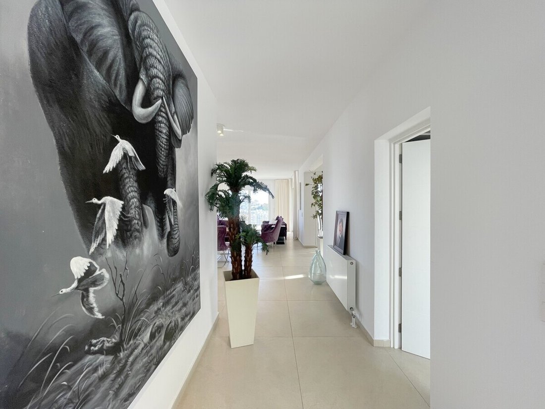 Villa in Calvia, Balearic Islands, Spain 5 - 16801489