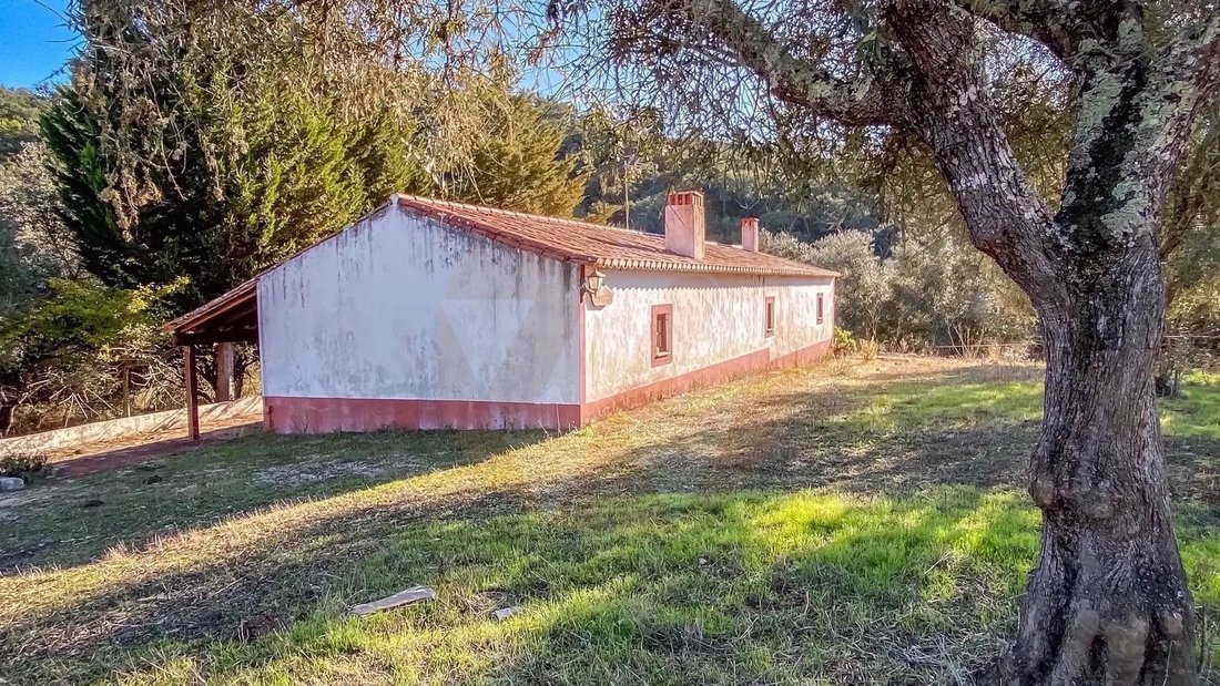 Farm Ranch in Sao Salvador e Santa Maria, Beja District, Portugal 4 - 16803345
