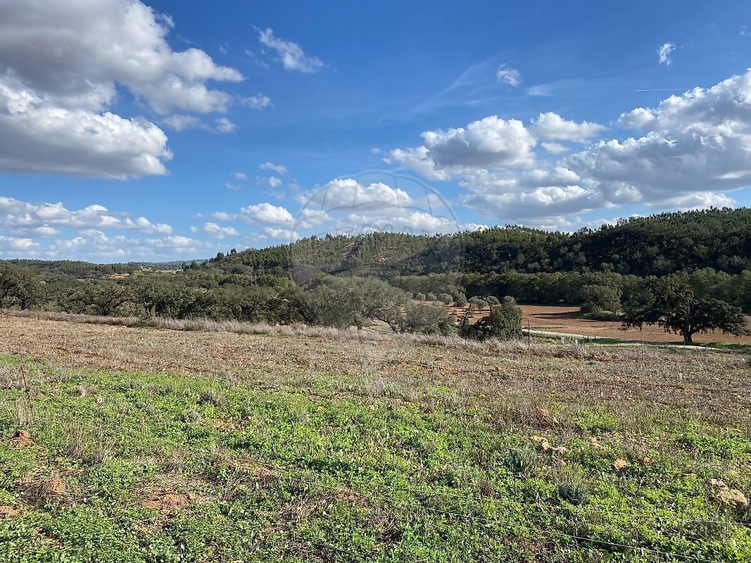Farm Ranch in Reliquias, Beja District, Portugal 4 - 16807249