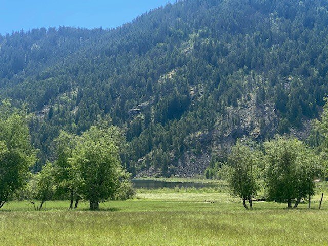 Land in Priest River, Idaho, United States 3 - 16799317