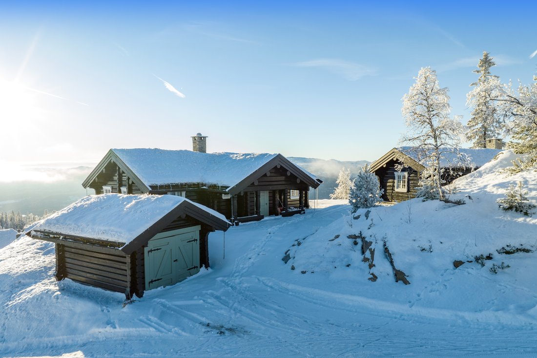 Chalet in Eggedal, Buskerud, Norway 3 - 16809632