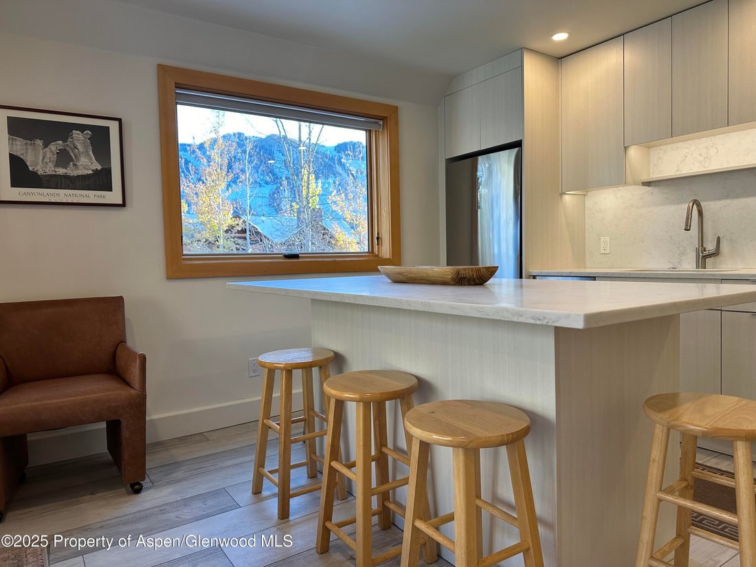 Condo in Aspen, Colorado, United States 2 - 16813644