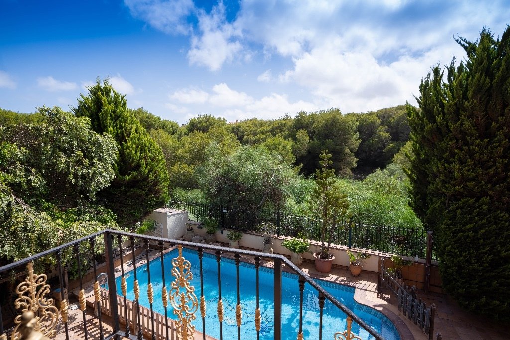 Villa in Dehesa de Campoamor, Orihuela, Valencian Community 2 - 16812104