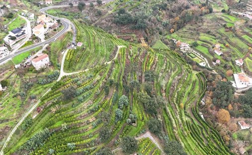 Farm Ranch in Santa Cruz do Douro e Sao Tome de Covelas, Porto District, Portugal 1
