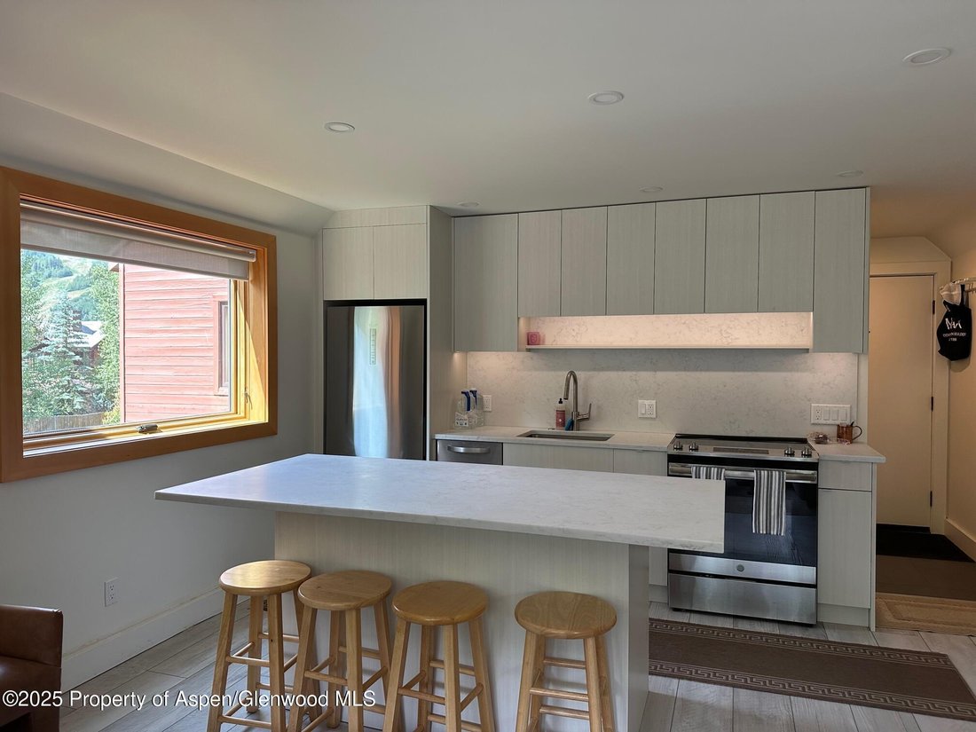 Condo in Aspen, Colorado, United States 3 - 16813644
