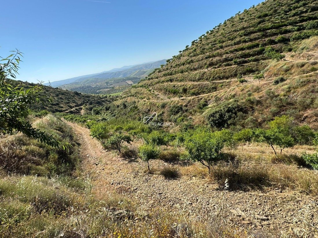 Farm Ranch in Longroiva, Guarda District, Portugal 1 - 16809648
