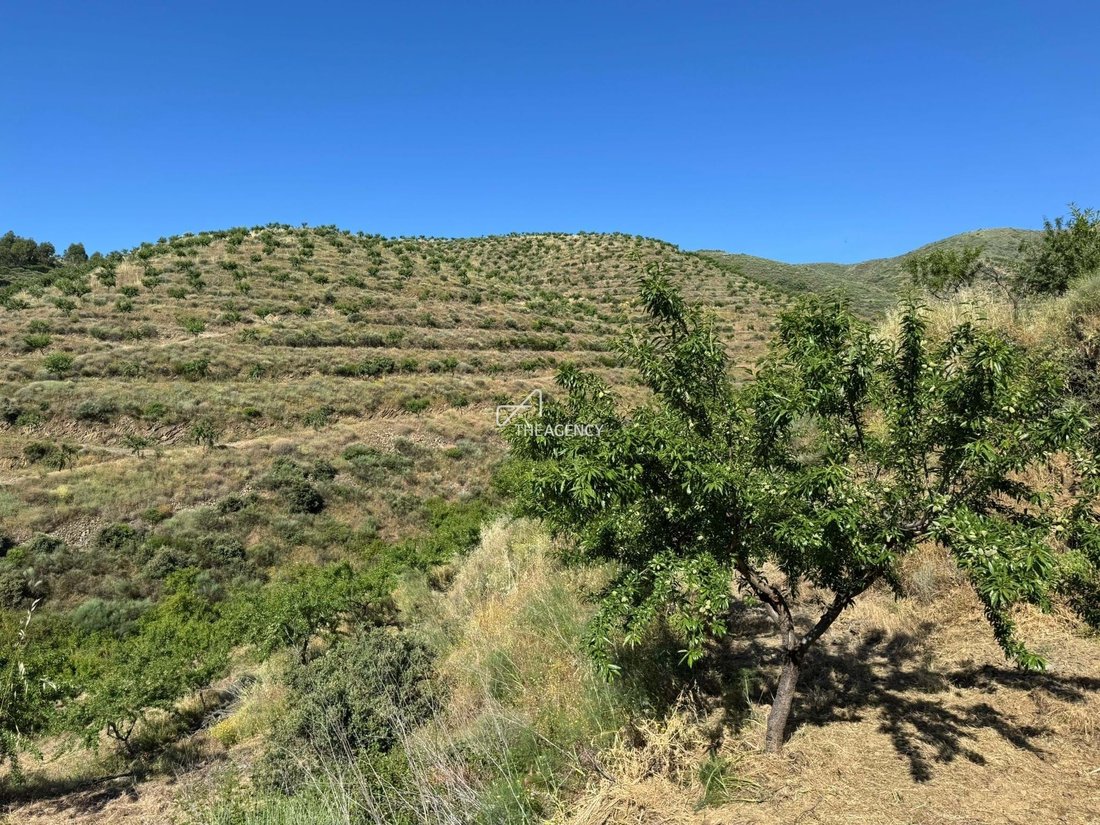 Farm Ranch in Longroiva, Guarda District, Portugal 2 - 16809648