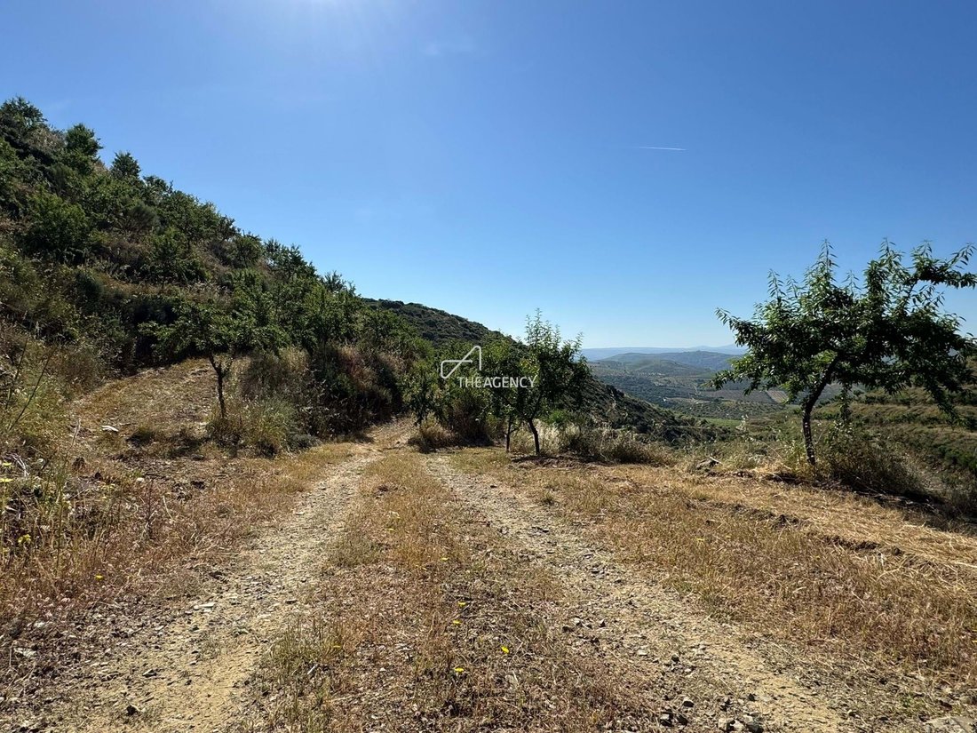 Farm Ranch in Longroiva, Guarda District, Portugal 5 - 16809648