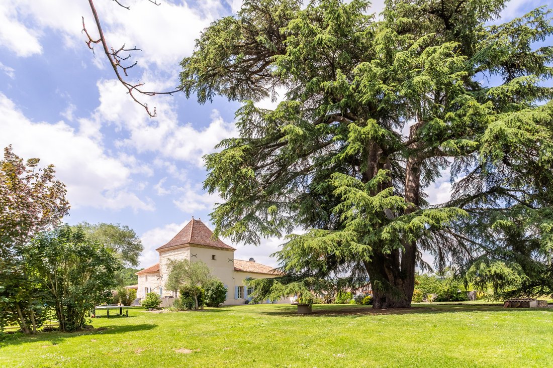 House in Dolmayrac, Nouvelle-Aquitaine, France 3 - 16813097