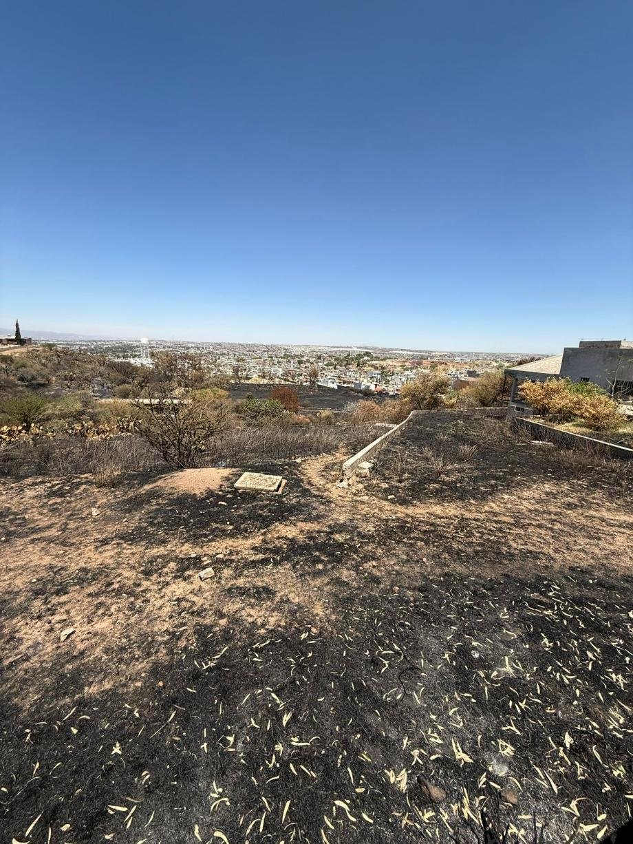 Land in Aguascalientes, Aguascalientes, Mexico 3 - 16810714